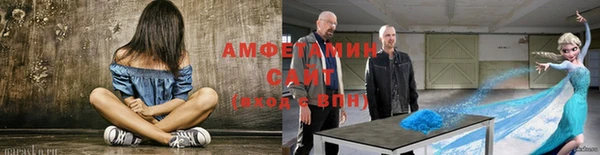 стаф Семилуки