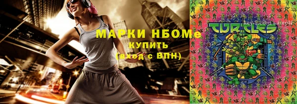 молекула духа Арсеньев