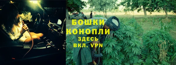 apvp Аркадак