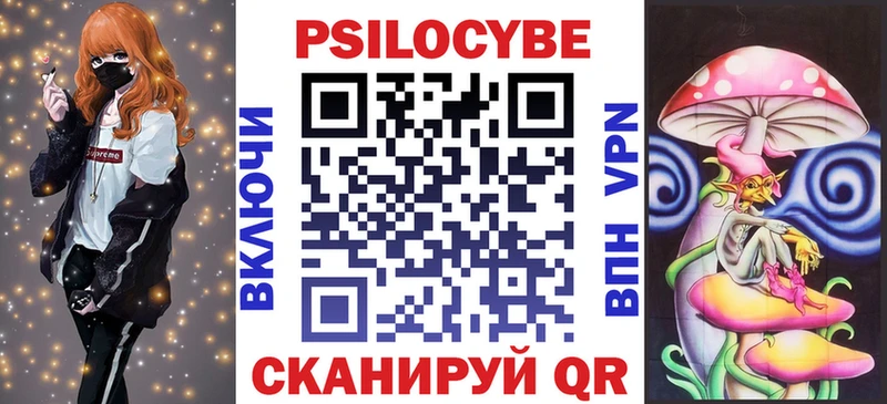 закладки Певек Псилоцибиновые грибы прущие грибы
